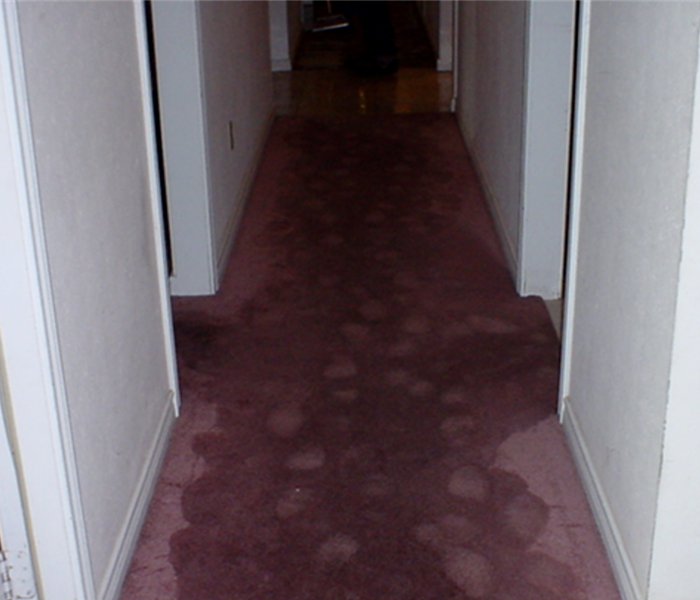 Wet carpet in hallway.