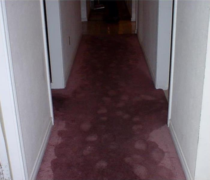 Wet carpet on hallway